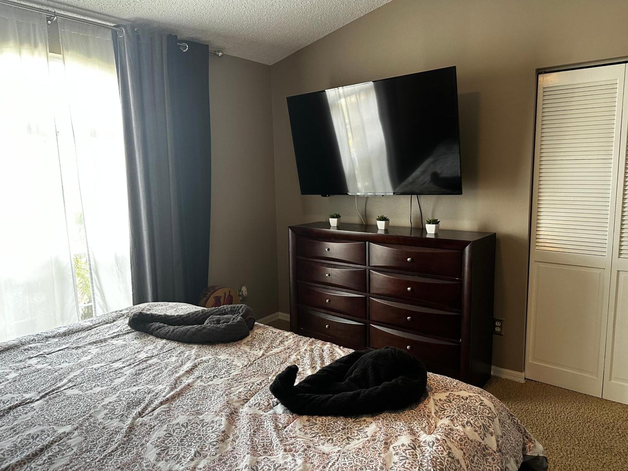 Cozy 3 Bedroom Home Close To Everything In Tampa! Exteriér fotografie